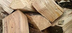 logs